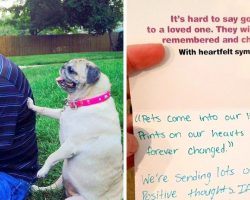 Man returns unused pet food after his pet dies, but their reply leaves him in tears