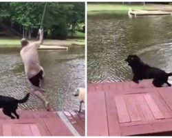 Black Lab Panics When Dad Jumps Off Rope Swing, Jumps In To ‘Save Him’