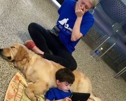Mom Breaks Down In Tears When Son with Autism Meets Service Dog