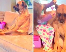 Lil Girl Has No One To Play Doctor With, Then She Sees Dog Sitting On The Couch