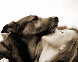 10 Reasons Having A Pet Is Good For Your Mental Health