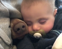 Mom’s filming the baby taking a nap when a nose pokes through beside him