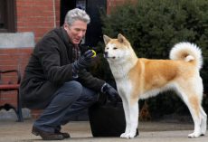 Dogs in History: Hachiko, the Dog that Waited for 9 Years