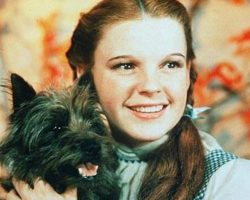 Dogs In History: Terry, The Wonderful Dog From Oz