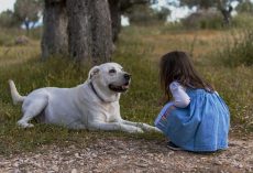 Best Friends PAW-rever: 5 Kid-Friendly Dog Breeds Your Family Will Love