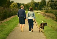 Dog Exercise: 13 Workouts To Try With Your Pup