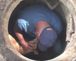 Rescuer takes moment with scared dog stuck in sewer before helping him to safety