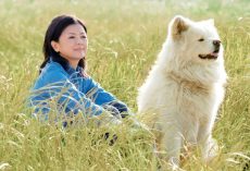 Netflix Dog Films PAWr Everyone: Kids, Paw-Buddies, and You