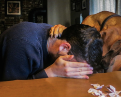 14 Times Pets Knew That Their Owners Needed Comfort