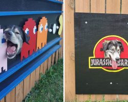 Family Decorates Dogs’ Favorite Peek-Through Fence Hole To Entertain Neighbors
