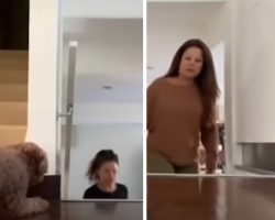 Sneaky Dog Always Scares Mom, Switches Sides To Catch Her Off Guard