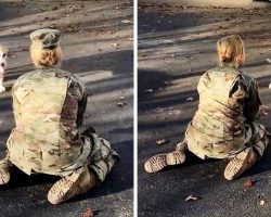 When Her Dog Rejects Her Upon Her Return, An Army Mom Becomes Upset And Removes Her Hat