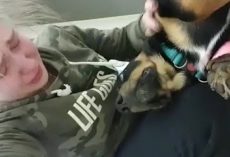 Owner Throws His Dog Out Of The Moving Car Into The Cold Snow