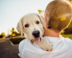 Everything A New Dog Owner Needs To Know Before Getting A Pup