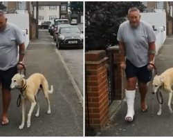 After $400 trip to vet, man learns his limping dog was just copying him out of sympathy