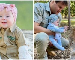Bindi Irwin’s Adorable Baby Daughter Grace Just Wants to Hug a Wallaby She Just Met