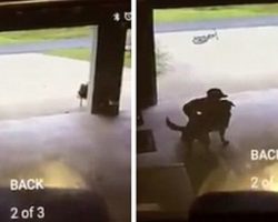 Boy Caught On Video Sneaking Into Neighbor’s Garage Every Day To Hug Dog