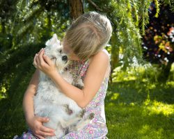 5 Simple Ways To Show Your Dog Affection