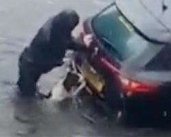 ‘Superhero’ Dog Helps His Owner Push Car Stuck In Flood Water Out To Safety