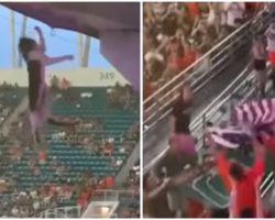 Fans Save Falling Cat By Catching It With A Flag At A College Football Game