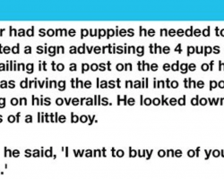 Boy Picks Out The Crippled Puppy Of The Litter To Buy From The Farmer