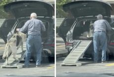 Growing Old Together