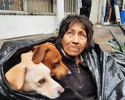 Police Urge Homeless Woman To Go To Shelter, But She Refuses Because Shelter Isn’t Pet-Friendly