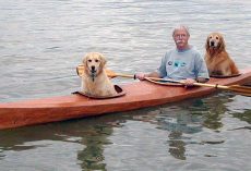 Man Builds A Special Kayak To Go On Little Adventures With His Dogs