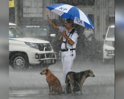Heartwarming Photo of Officer Sheltering Street Dogs From Heavy Rain Wins Internet’s Heart