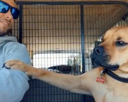 Rescue Dog Keeps Paw On New Owner At All Times To Make Sure He Won’t Be Left Again