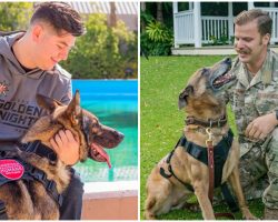 Retiring Military K9s Return Home — and Get Reunited with the Handlers They Worked with Overseas