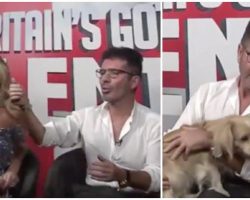 Simon Cowell Surprised w/ Special Guest: One of the Dogs He Saved from the Slaughterhouse