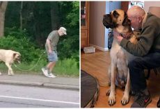 Town Helps Family Keep Their Dog After His Well-Loved Owner Died Unexpectedly