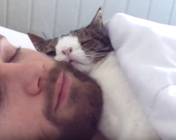 Man adopts unwanted shelter cat, and their bedtime routine is heart-melting