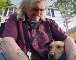 Veteran Finally Holds Beloved Dog Again After Lady Stole Pup Along With His Car