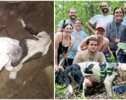 Hikers Exploring Cave Find a Lost Dog 30-Feet Down, Rappel Down to Save His Life
