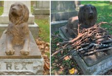 People are Leaving Sticks at this Grave of a Dog Who Died 100 Years Ago