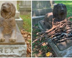 People are Leaving Sticks at this Grave of a Dog Who Died 100 Years Ago