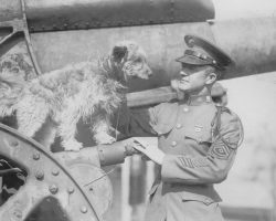 Dogs in History: Rags, the World War I Hero