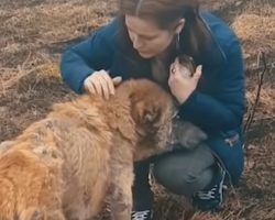 Woman Finds Sickly Dog Near A Landfill And Gets Close To Inspect Her