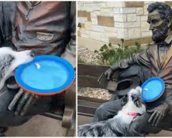 Dog Doesn’t Understand Why Statue Of Abe Lincoln Won’t Play Fetch With Her