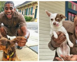 UPS Driver Stops To Take A Photo With Every Dog He Meets On His Route