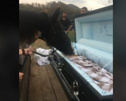 Horse Says Final Goodbye To His Human Dad Who Wouldn’t Give Up On Him At His Funeral