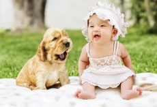 Best Dog Breeds for Babies