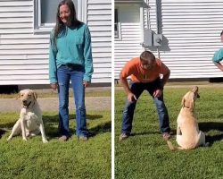 Dog Clearly Prefers Mom To Dad In Hilarious Experiment