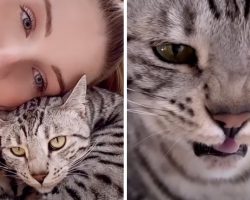 Woman Began Talking To Her Cat, And Now They Carry On Conversations
