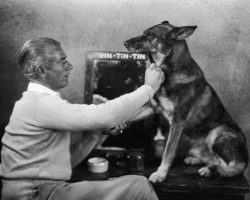 Dogs in History: Rin Tin Tin, the Dog that Saved Hollywood
