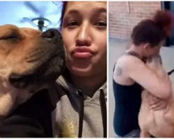 Woman Spots Familiar Face On Dog Adoption Website, Miraculously Finds Her Long-Lost Dog