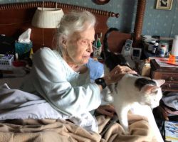 101-Year-Old Woman Adopts Oldest Cat In The Shelter