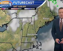 Dog Strolls Onto News Show During Weather Report, Has Anchorman Cracking Up